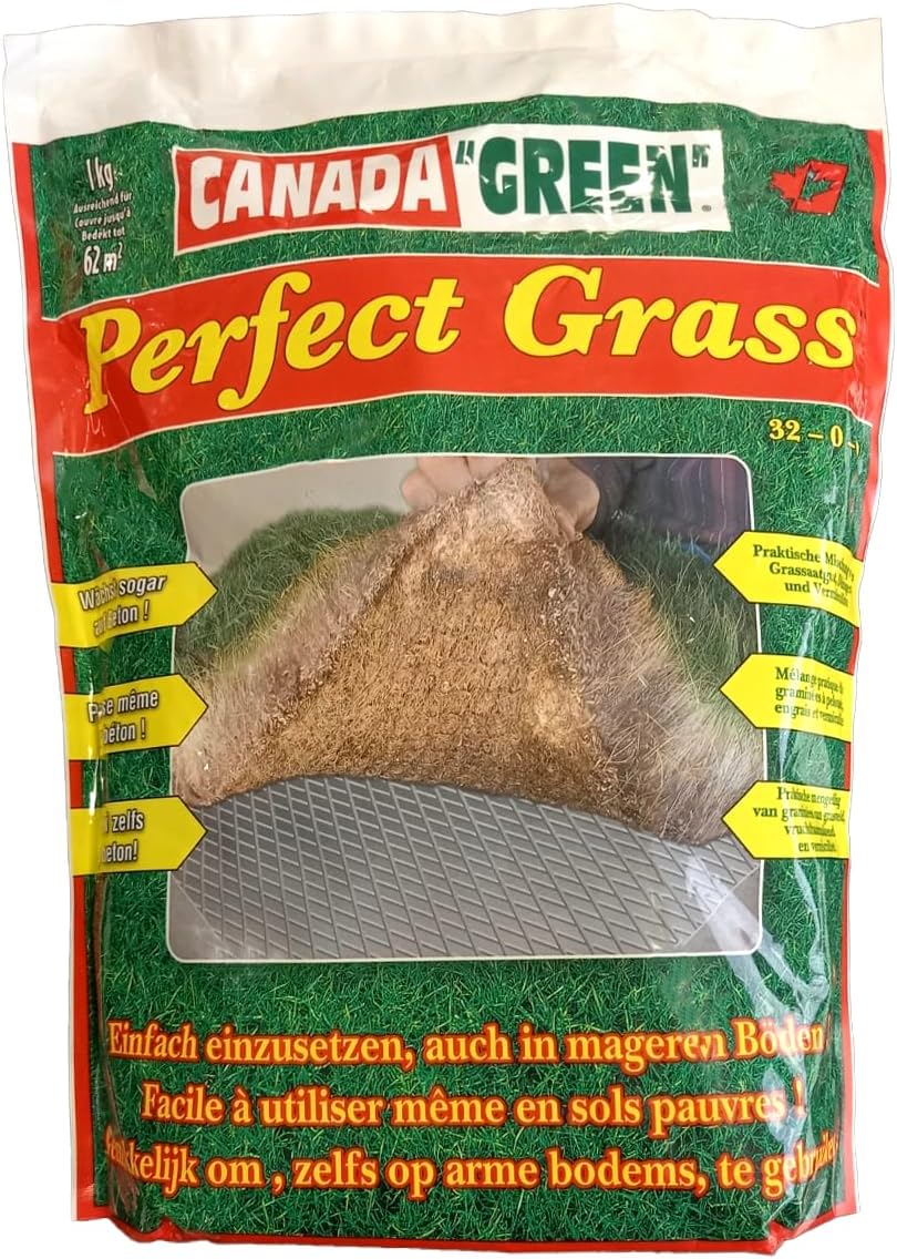 MYBO TV - Semances de gazon - Pousse partout en toutes saisons - Couvre jusqu'à 62m² - Résistant au gel et à la sécheresse - Pousse rapide - Résistant au piétinement - Sac de 1 kg