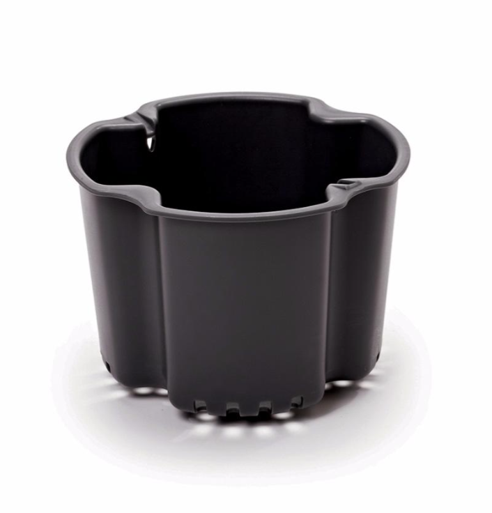 Panier vapeur amovible du blender Scott Gustissimo 21105, accessoire pour cuisson saine